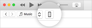 device icon in iTunes